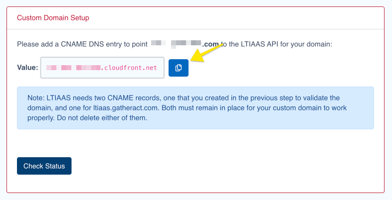 Custom domain DNS entry example
